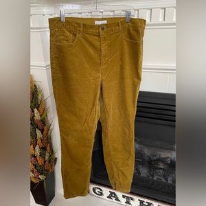 LOFT Gold Velvet Jean